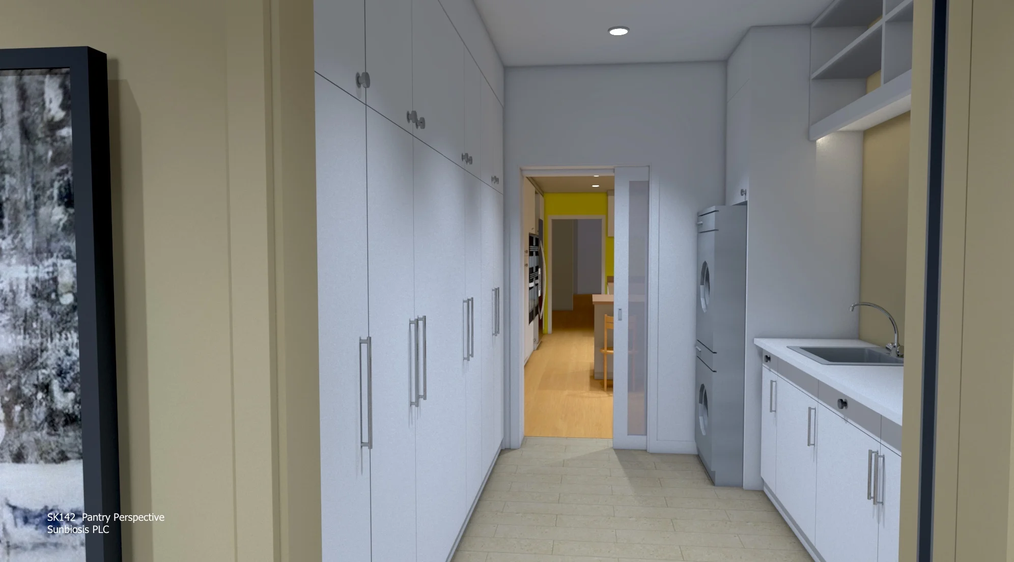 Caplin Residence SK142 Pantry Perspective.jpg