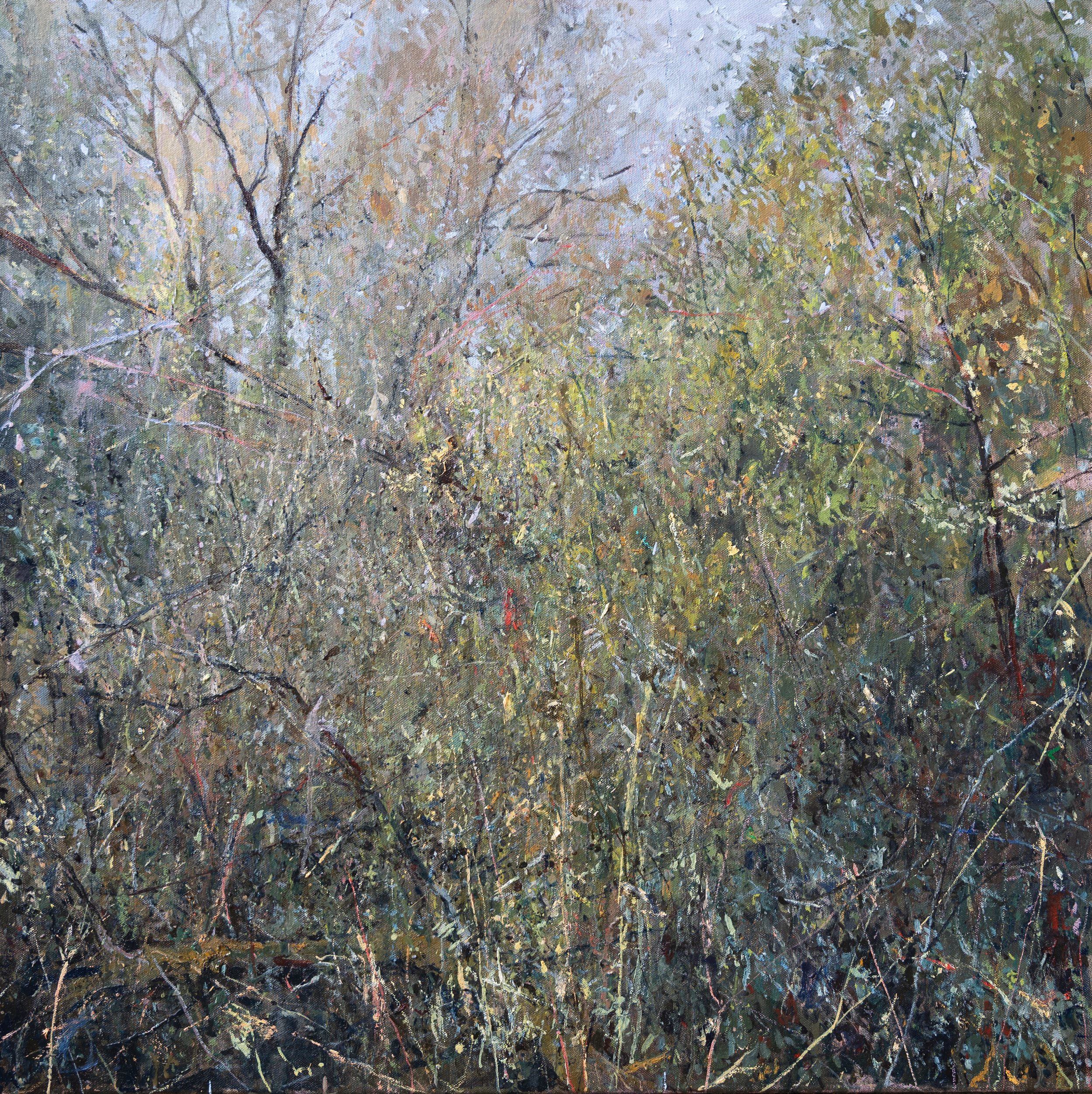 Slow Rising Hero 70x70.jpg