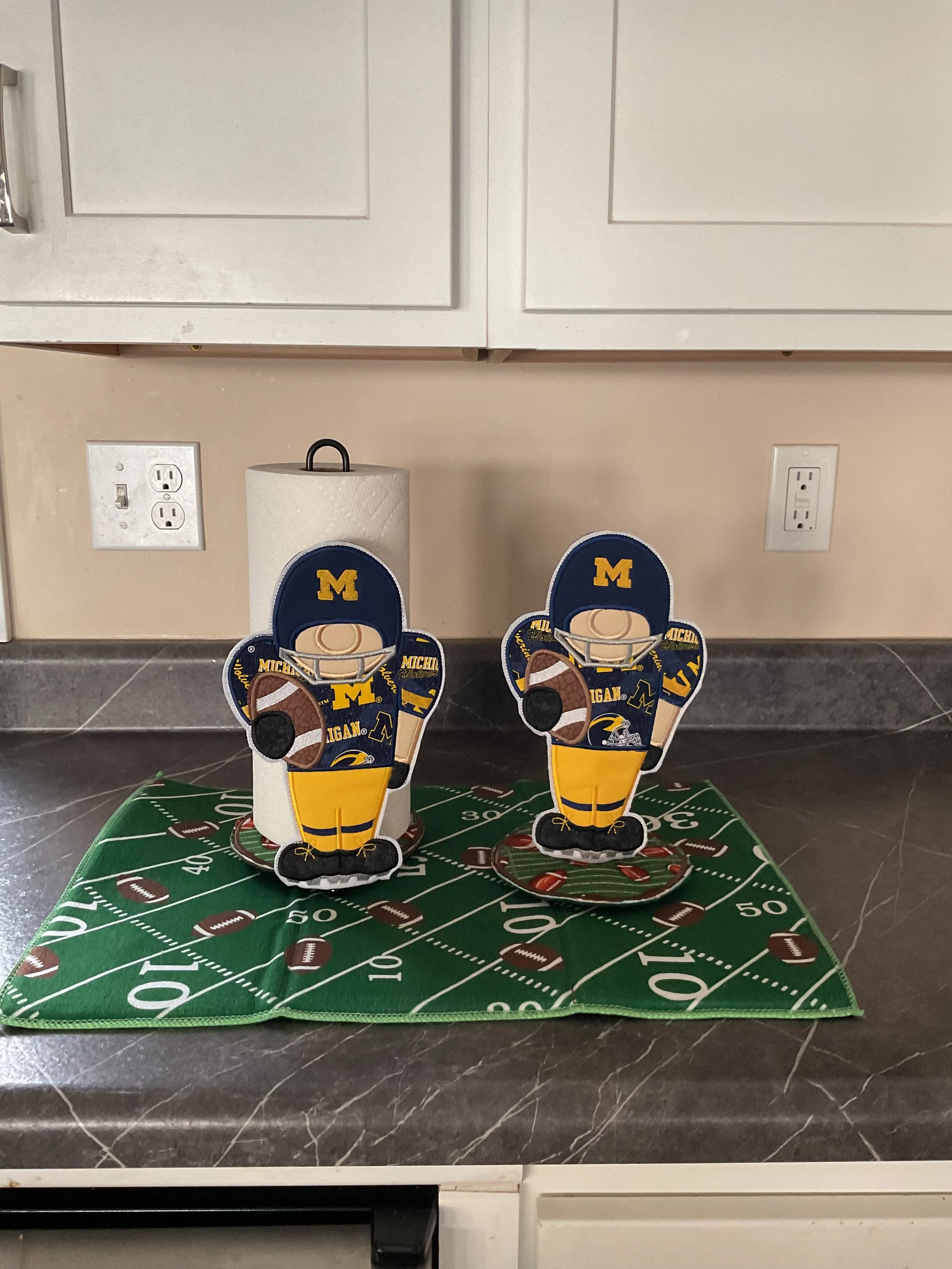 Michigan Paper Towel Cover Character