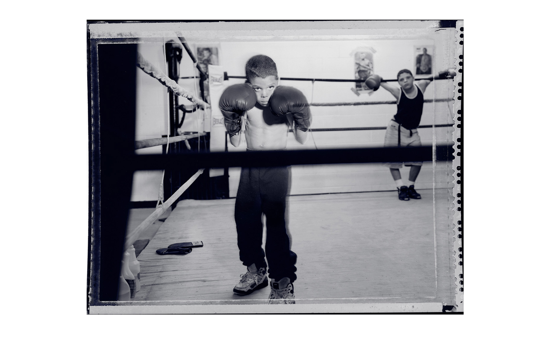 Boxer1.jpg