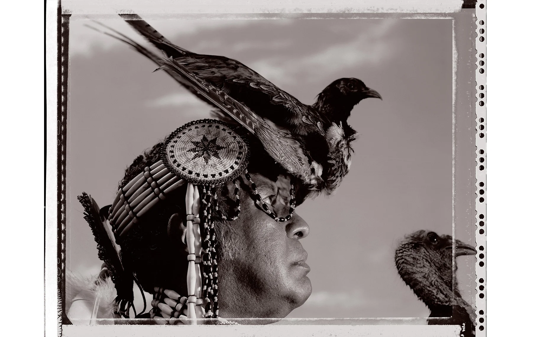 Bird-Chief.jpg