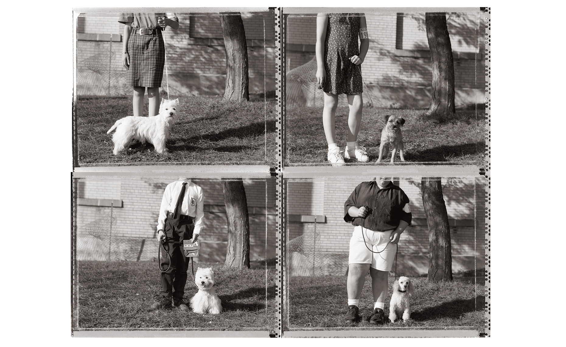 Dog-Show.jpg