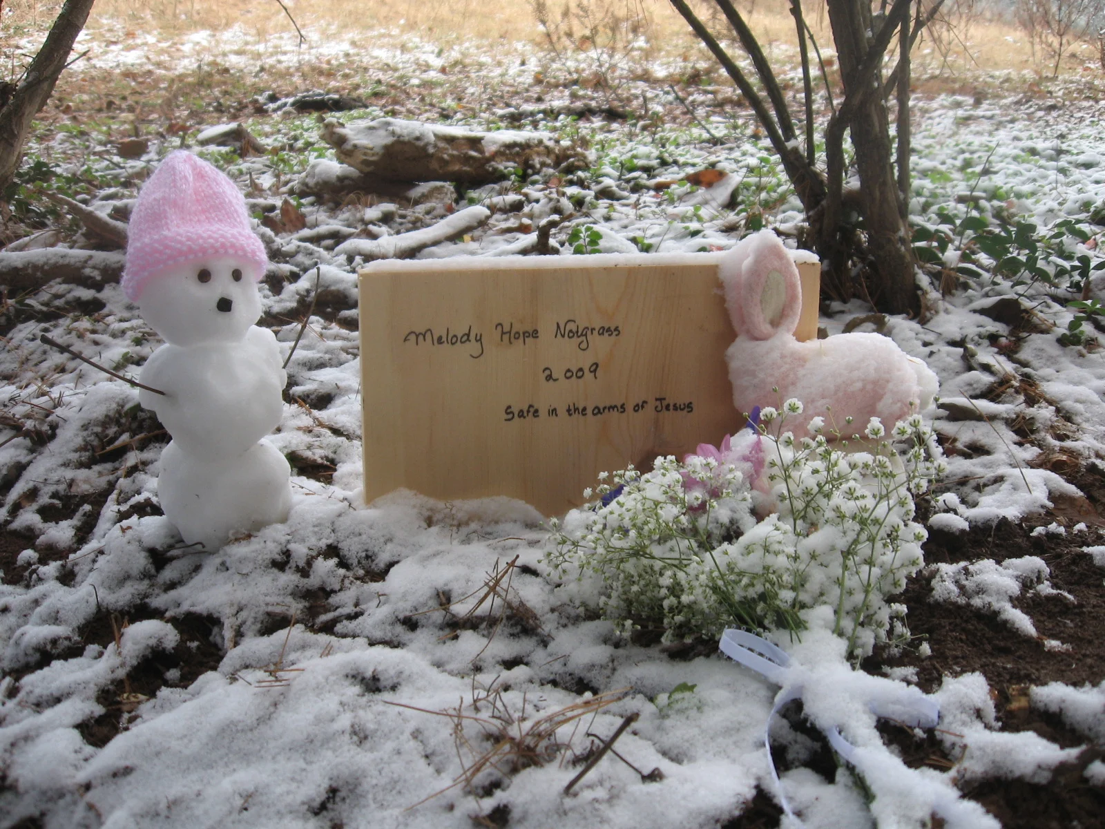 Safe in the Arms of Jesus