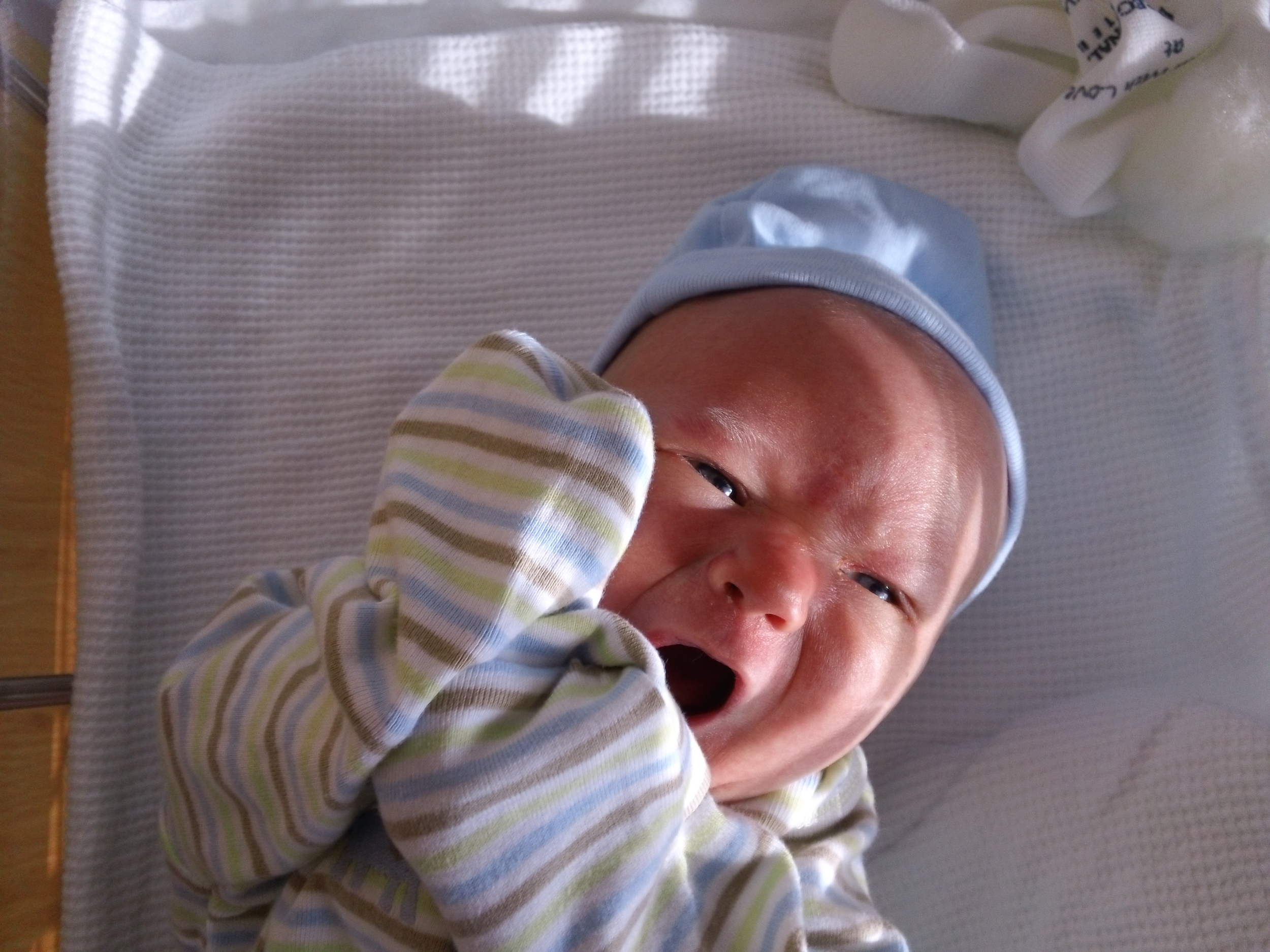 Avery John Notgrass