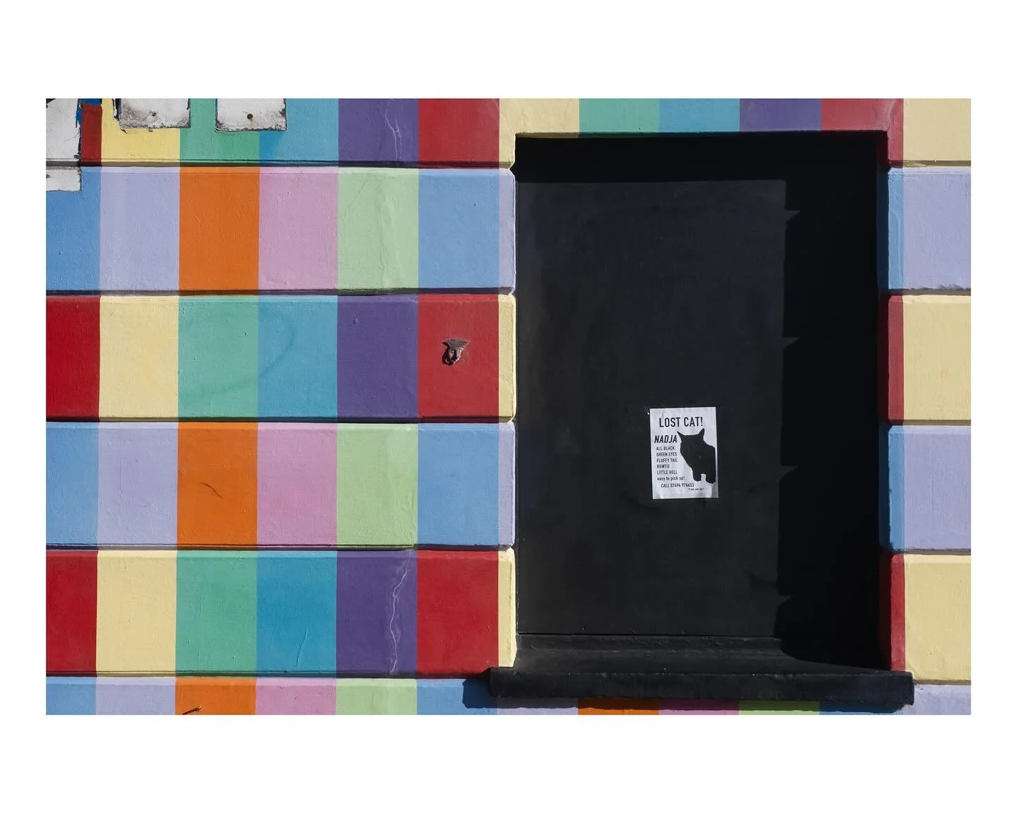 Lost Cat - Brighton 05/10/24 #streetphotography #fujifilm #photography #brighton #xt30 #fujifilm_xseries #colour