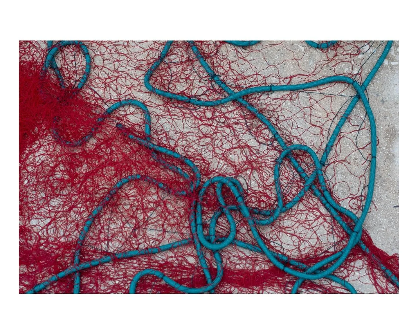 Caught up in it - Lopud, Croatia 10/24 #streetphotography #photography #fuji_street #fujifilm_xseries #xt30 #travelphotography  #50mm