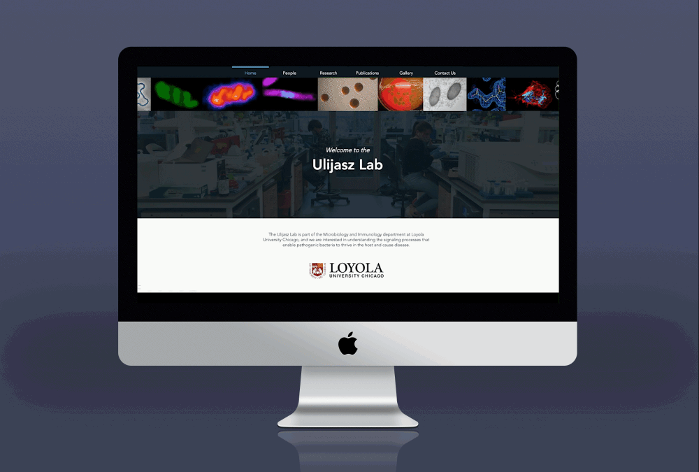 UlijaszLab-Mockup-resized (1).gif