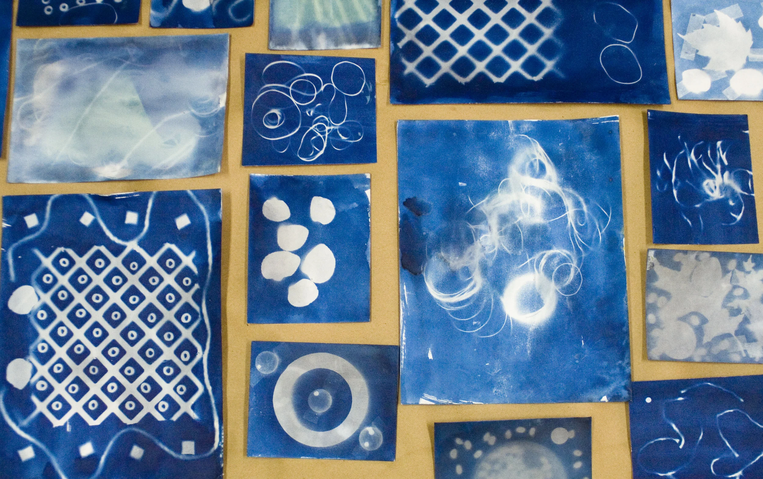Cyanotypes