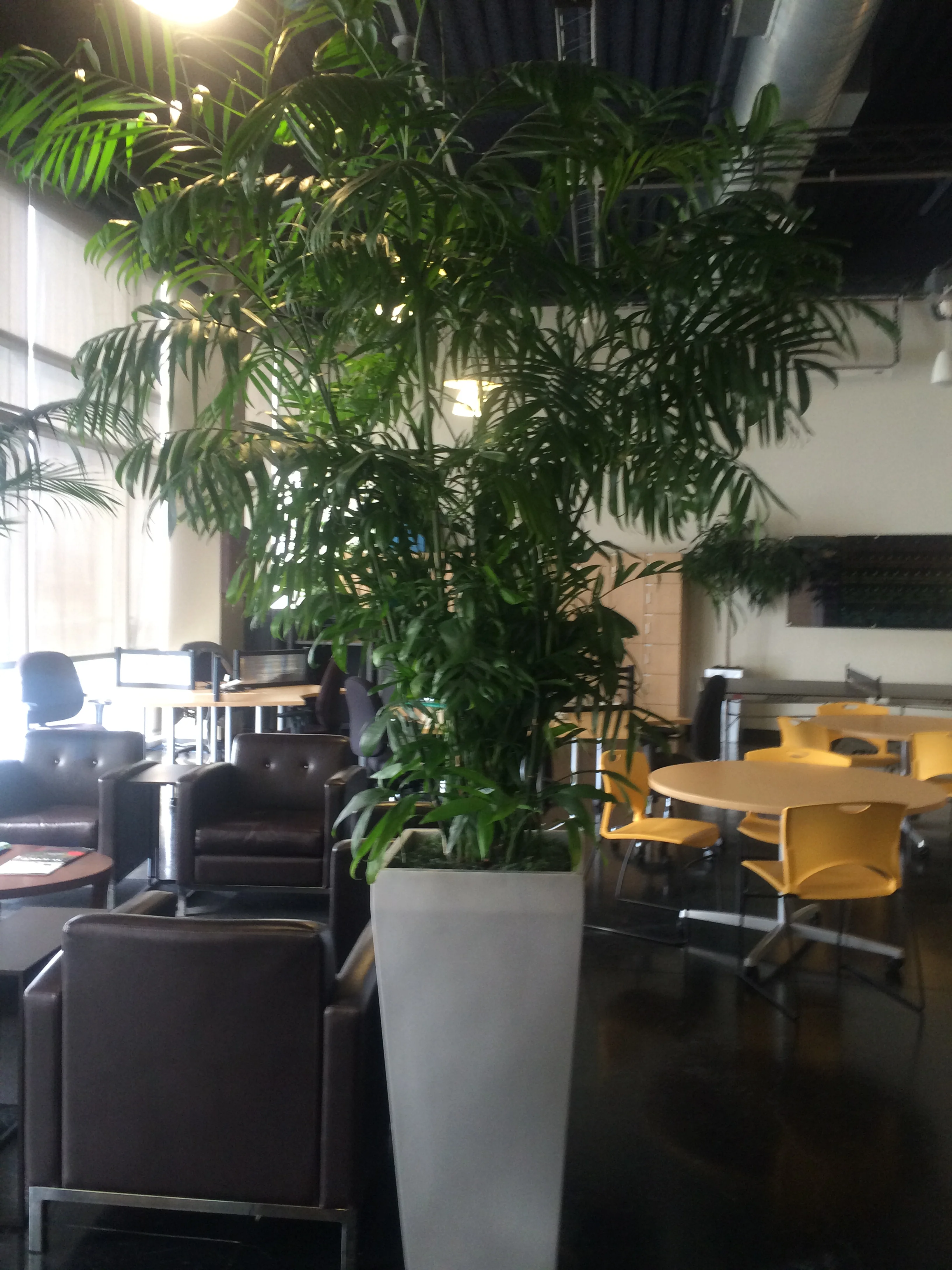 Accents for public spaces