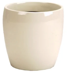 European Cylinder - Pearl.jpg