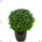 Ivy Topiary Globe.jpg