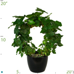 Ivy Topiary Ring.jpg