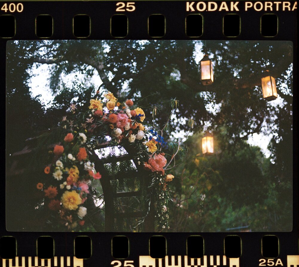 10_Kodak 400 4x  copy 6.jpg