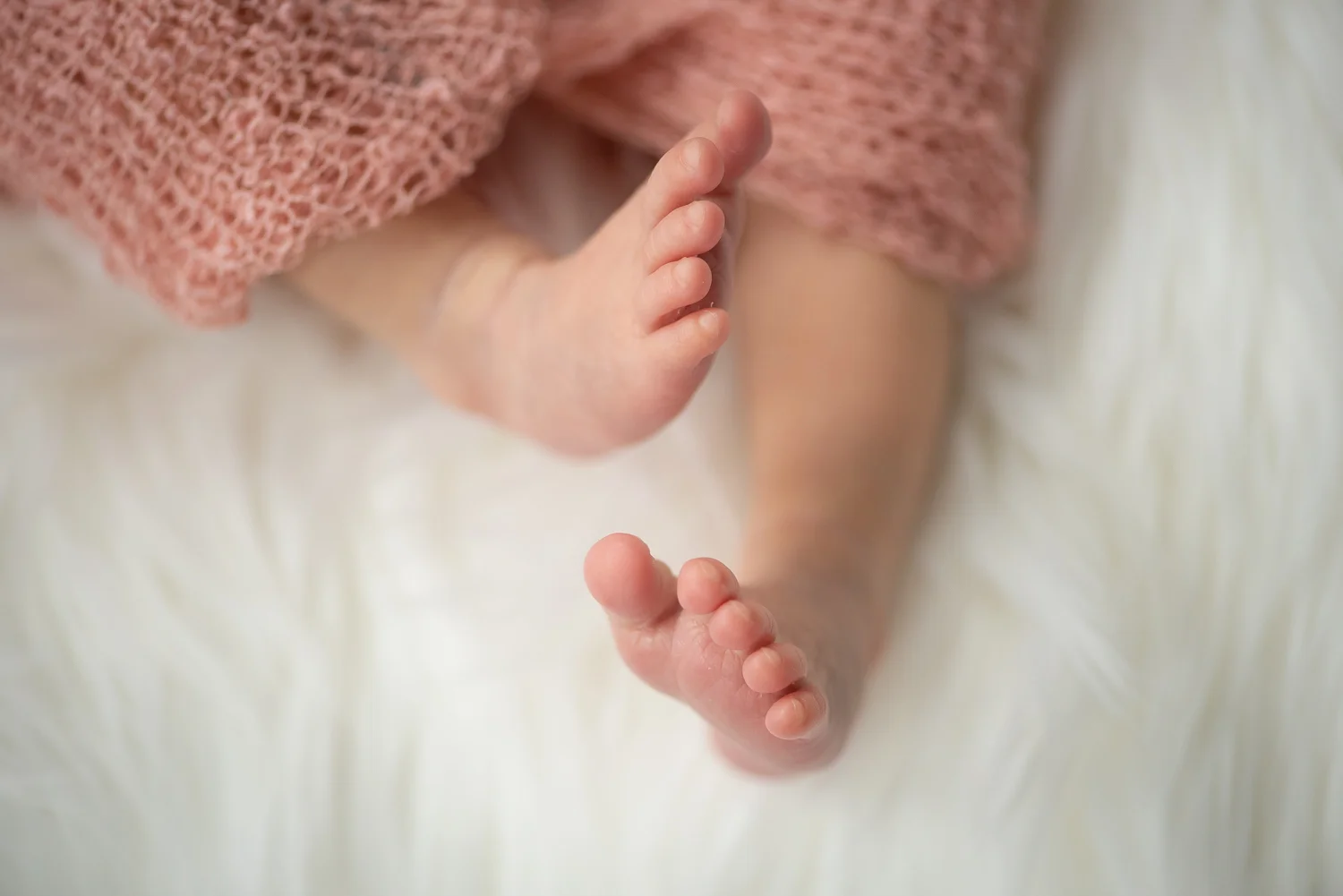 EmilyFeinsodPhotography_48.jpg