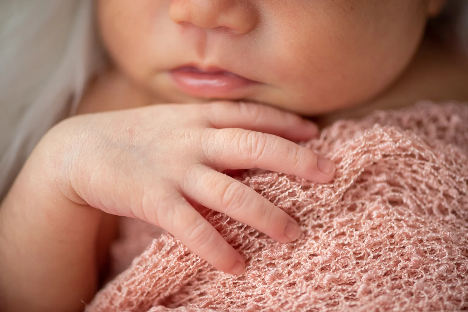 EmilyFeinsodPhotography_49.jpg