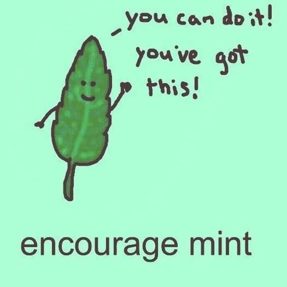 Encourage Mint Lazy Millennials Dot Com.jpg