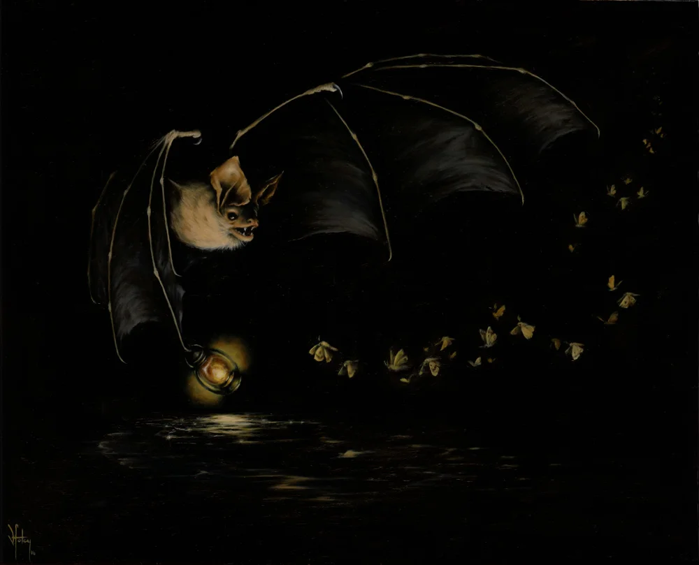 batweb.jpg