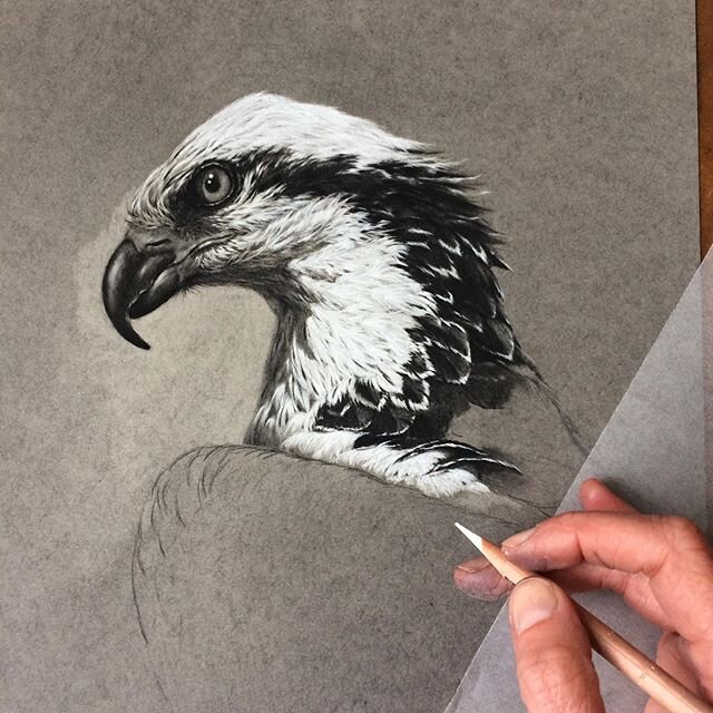 Bringing this lady to life with the magic of white charcoal today ✨🧙🏻&zwj;♀️✨ ⁣
⁣
As a side note the glassine paper I use to rest my mucky paws on while working has never had a tougher time of it! I often get asked what materials I use (paper, penc