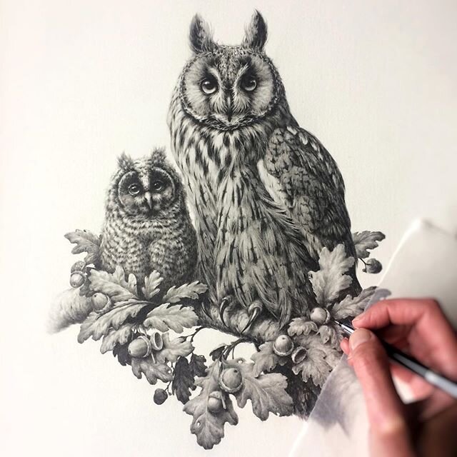 Working on the final layer of my latest Owl piece, adjusting values, shadows and feathery bits as the need may be. ⁣⁣
⁣⁣
PS. The choice to portray a Long Eared Owl in this drawing had more to do with their owlets adorable ear tufts than pretty much a
