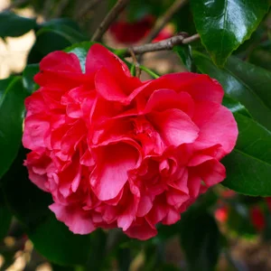 L1020133+copy.jpg