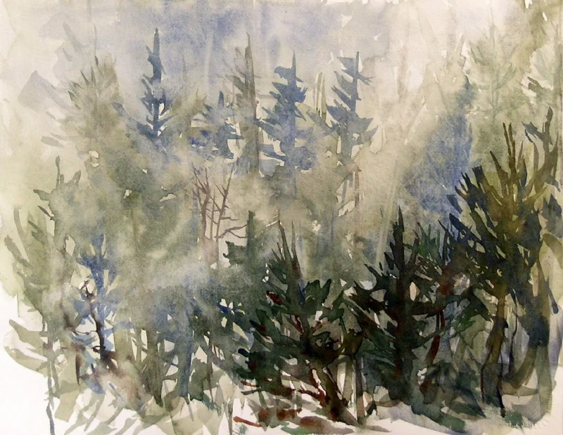 28 Fog on the Mountain (2).JPG