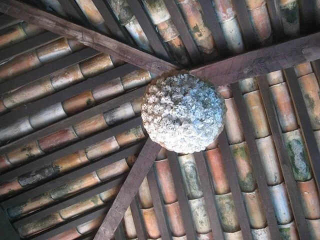 #lookingup #Brazil #architecture #interiordesign #materials