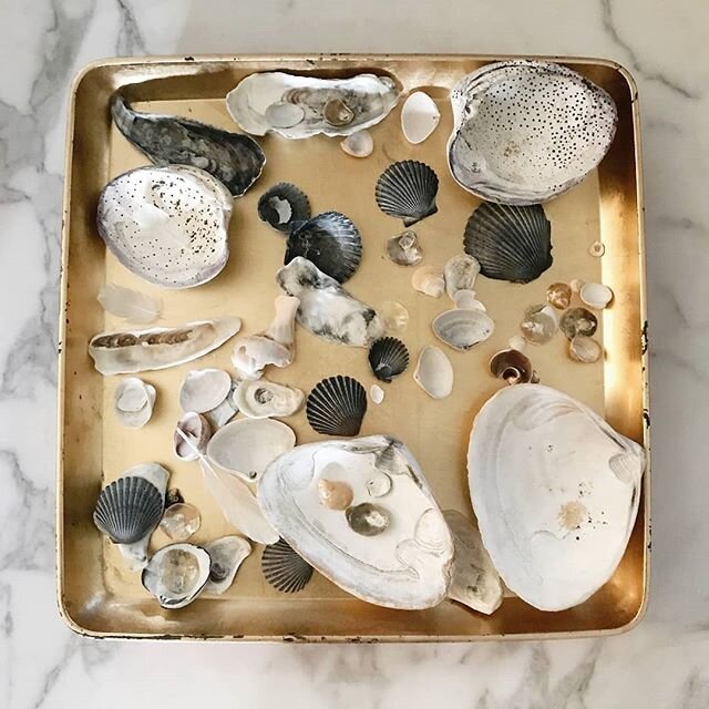 #seashells #gifts from #friends #tbt