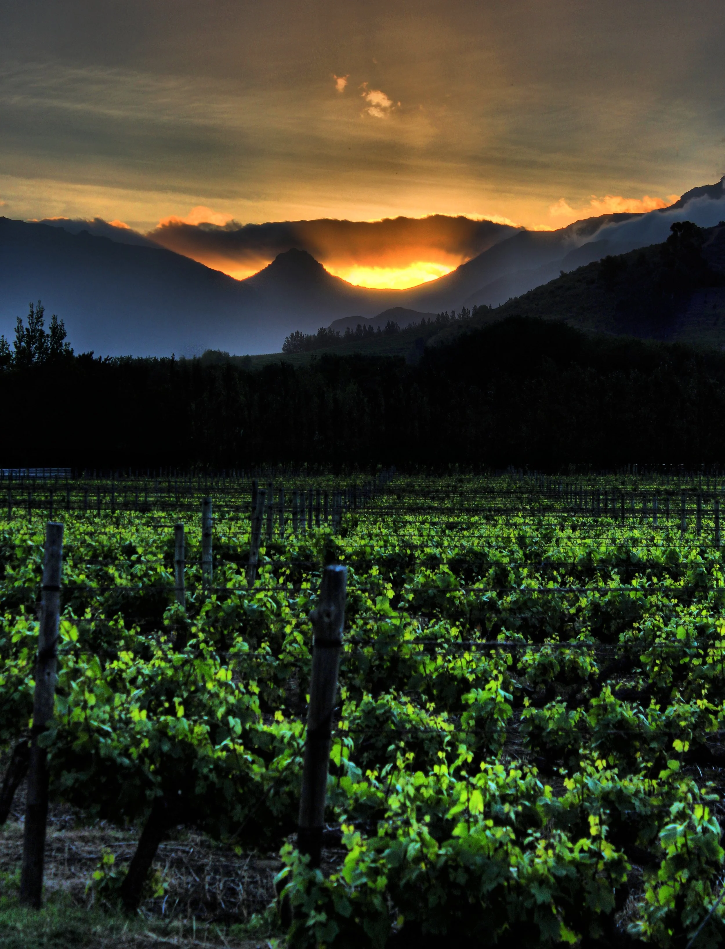 IMG_3285_6_7_tonemapped.JPG