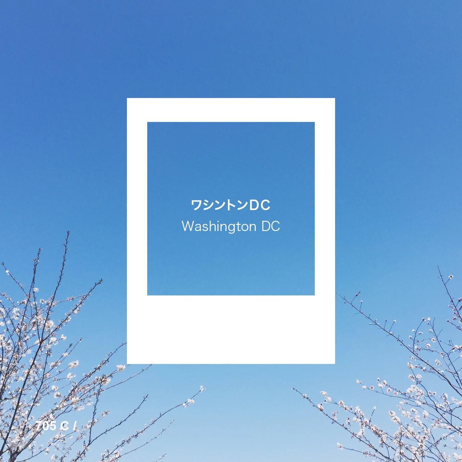 Pantone Scenery_WashingtonDC.jpg