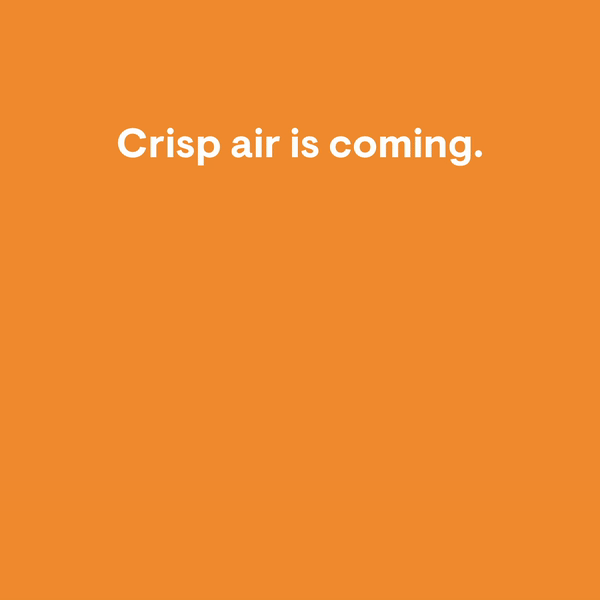 ezgif.com-video-to-gif (10).gif