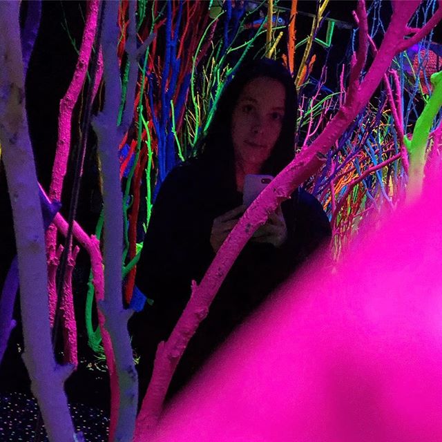Visited Meow Wolf today!! 🤩🤩