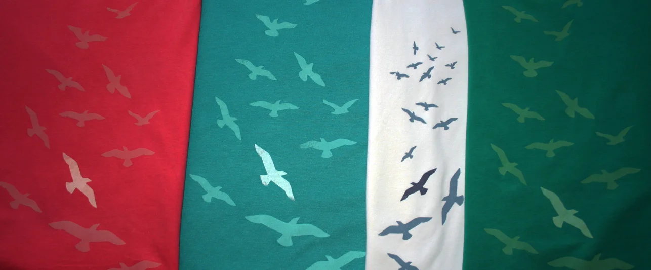 WebSHIRT1.jpg