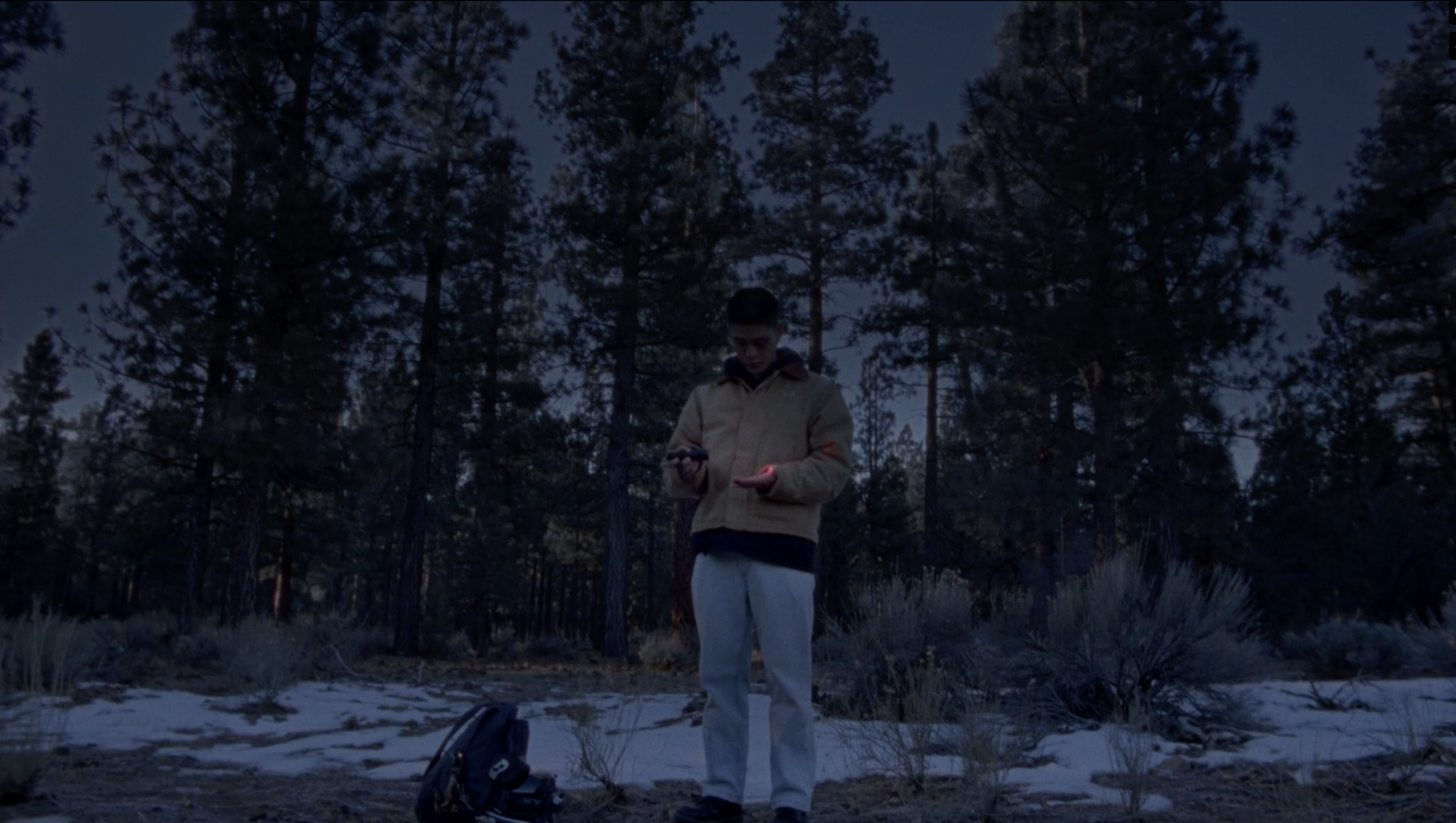 dross-wide-forest-flashlight.png