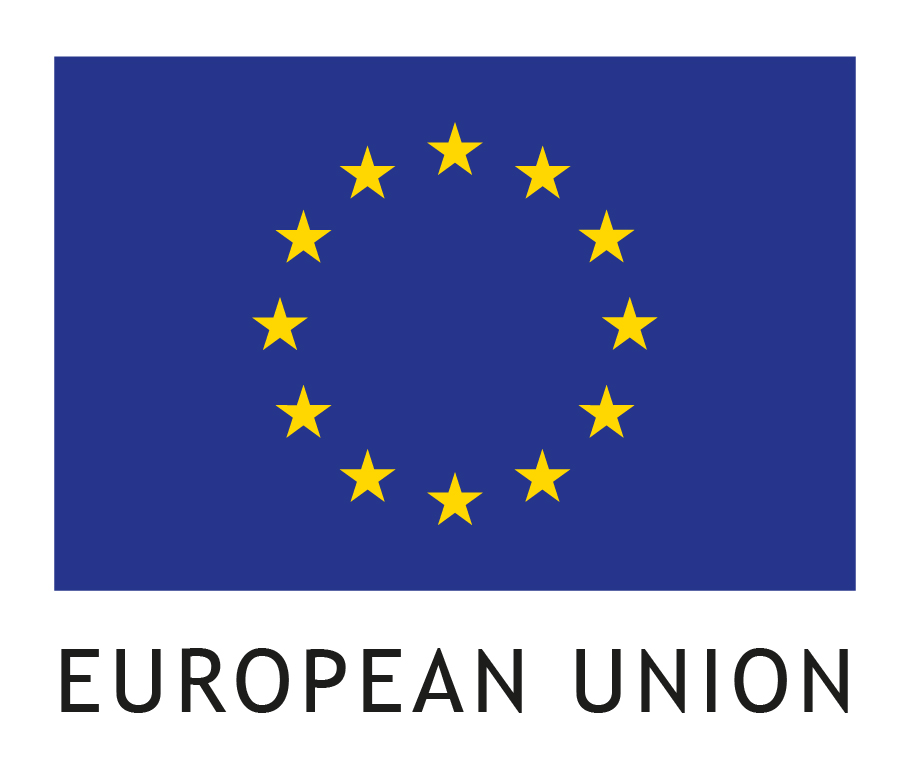 EU flag small items RGB_2.jpg