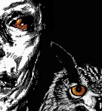 Owl and Misery crop.jpg