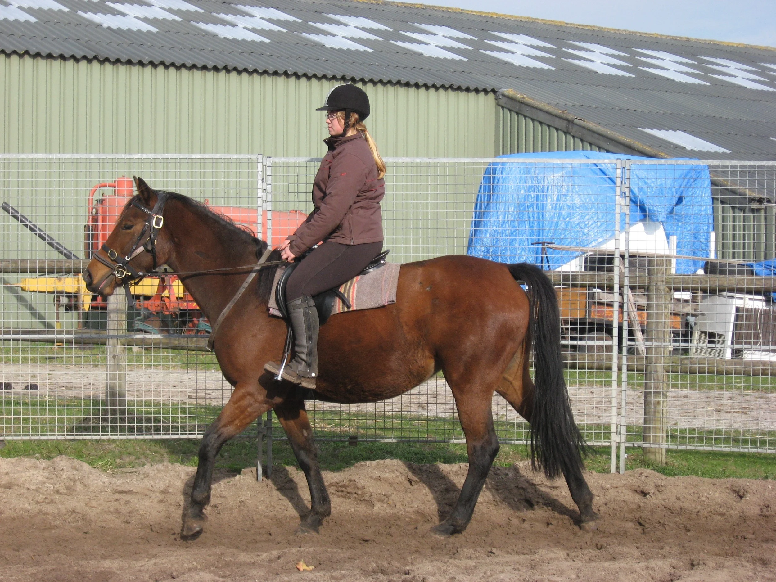 Biranda - Kim Wassen