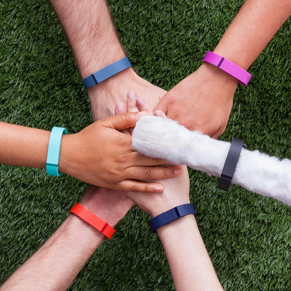 FitBit