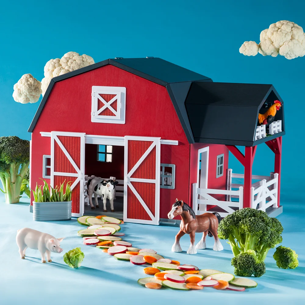 New Terra Toys, in store