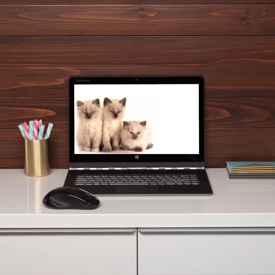 Get rid of your mouse. #WinTheHolidays #LenovoYoga3Pro #Cats