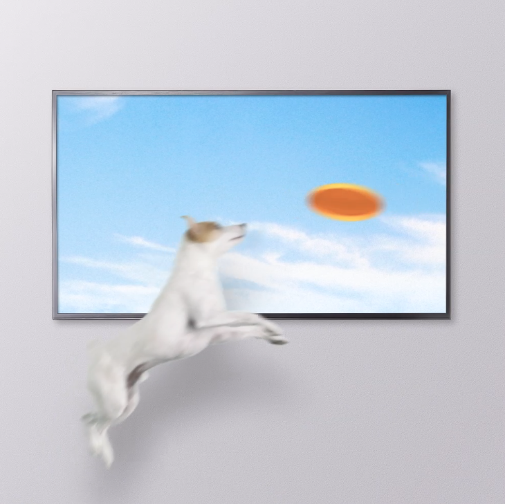 So close, Sparky. #4Kclarity #DogsOfInstagram