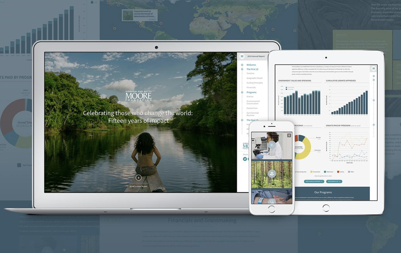 Moore Foundation: Annual Report Website