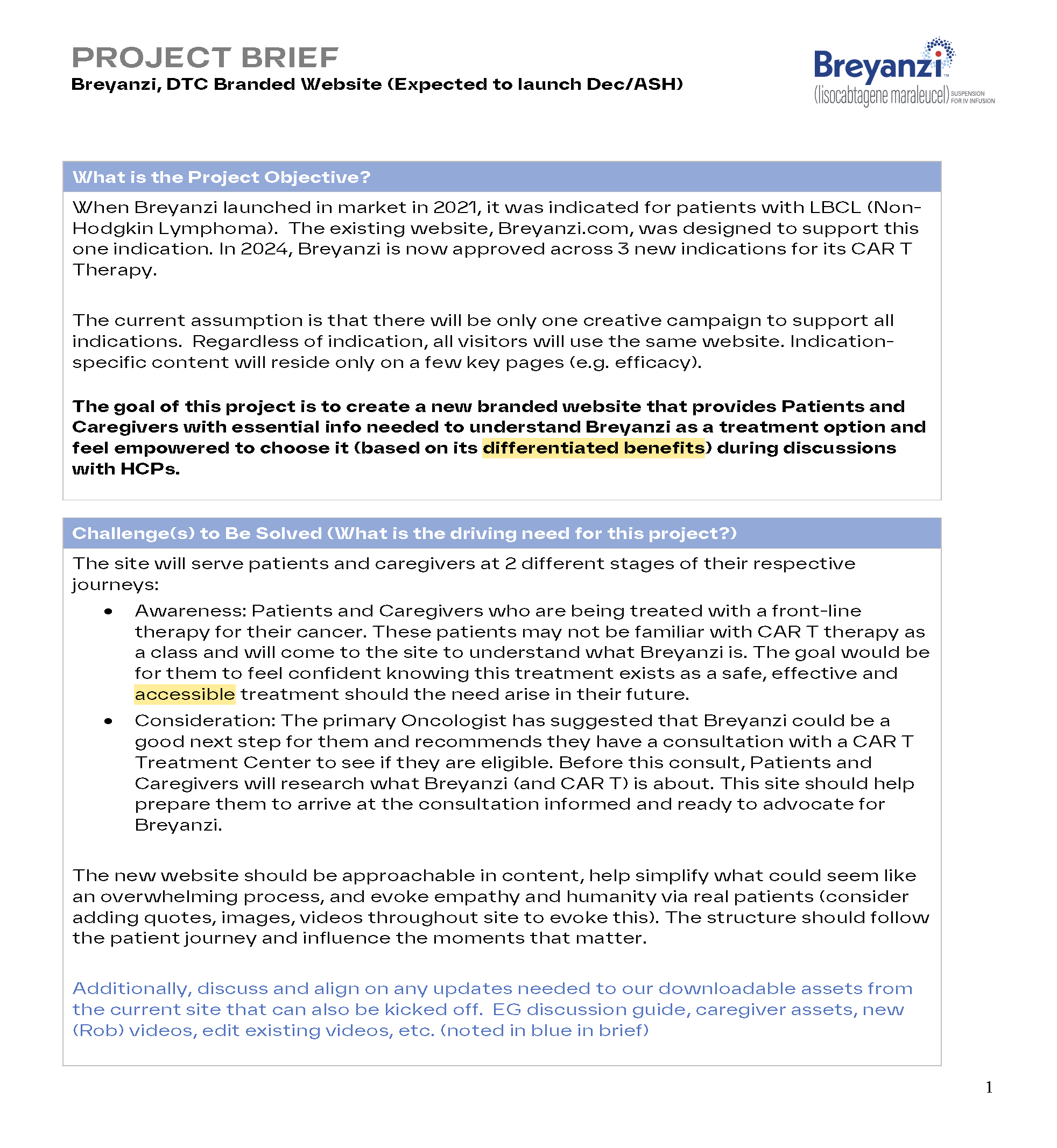 DTC Breyanzi Website Project Brief 05.31.24 (1)_Page_1.png