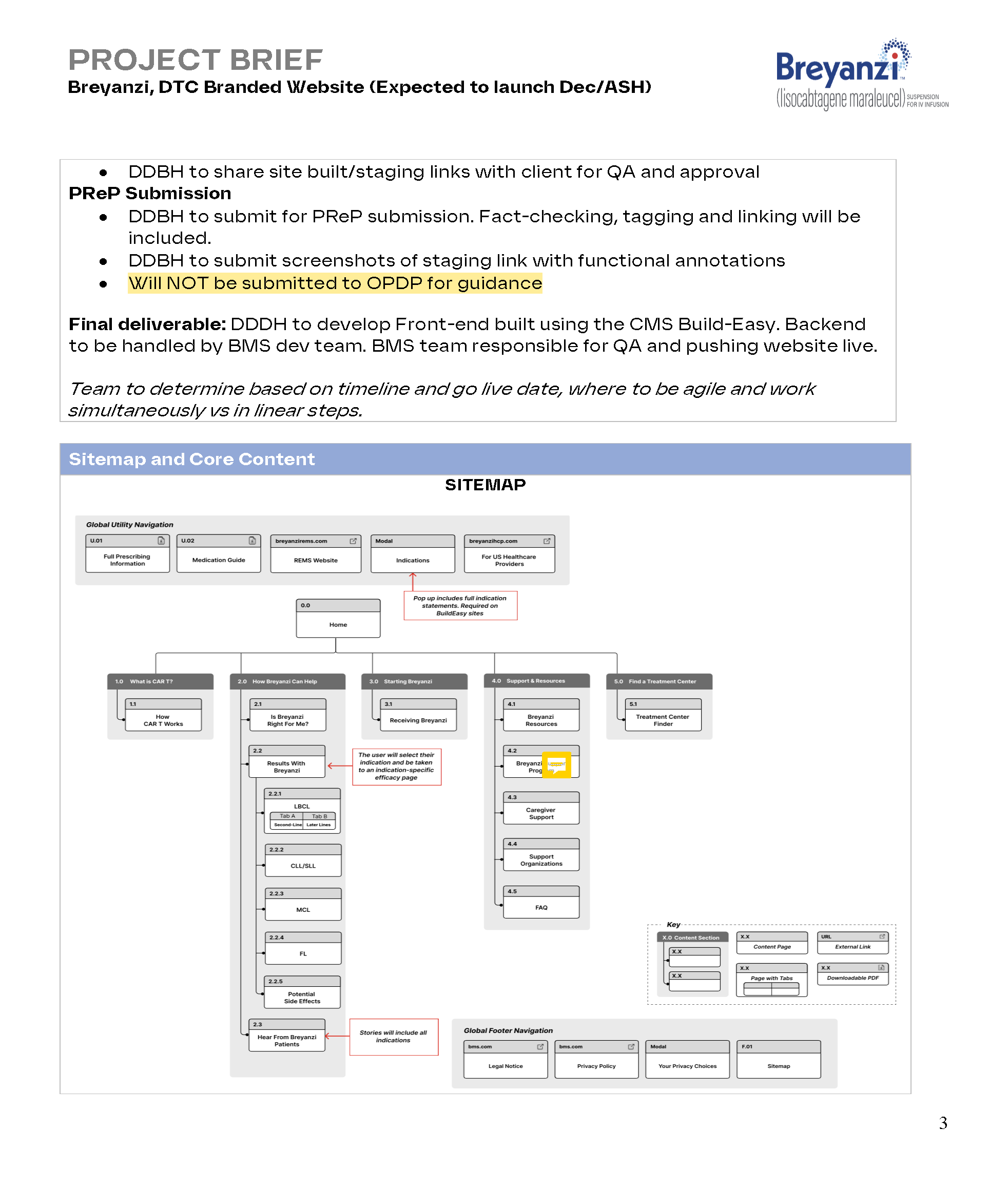 DTC Breyanzi Website Project Brief 05.31.24 (1)_Page_3.png