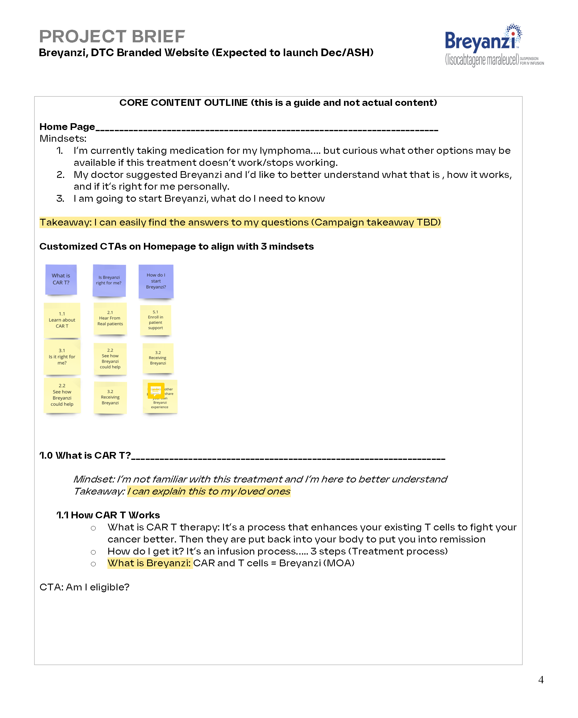 DTC Breyanzi Website Project Brief 05.31.24 (1)_Page_4.png