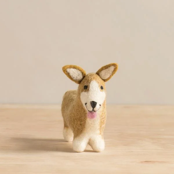 02_web_front_corgi_small_7f489693-5a84-4802-a0eb-c8bec5d81c76_grande.jpg