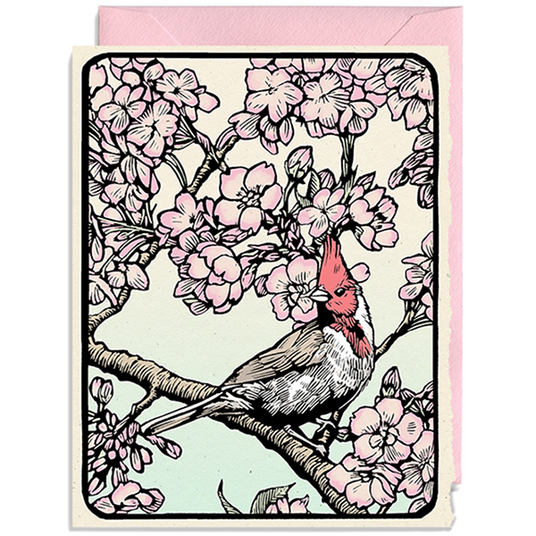 Cardinal in Cherry Blossoms