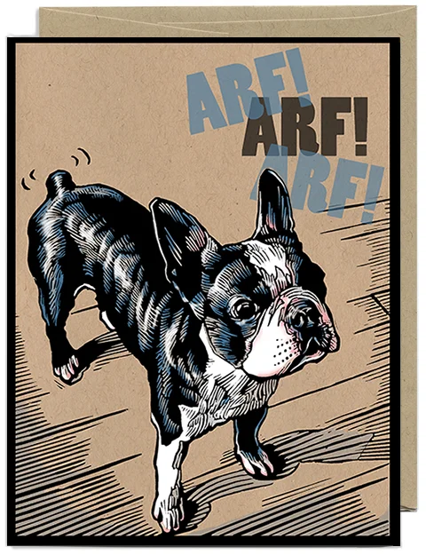 Jack the Boston Terrier