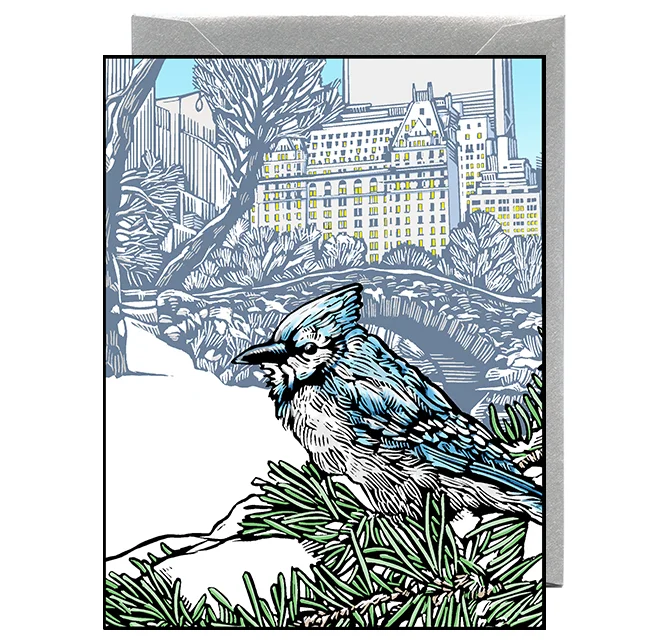 Blue Jay at the Plaza