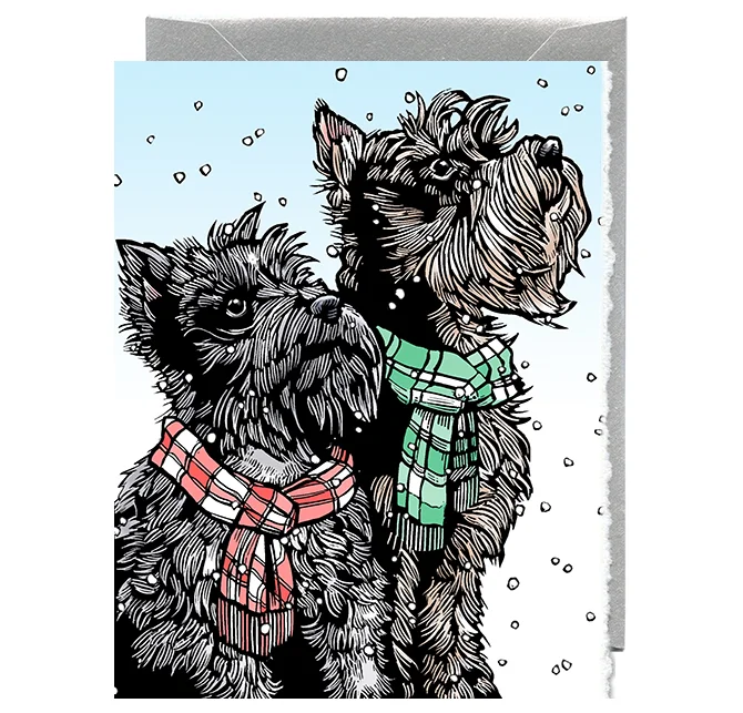 Schnauzers in Scarves