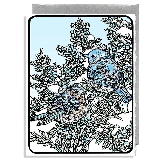 Blue Birds on Juniper